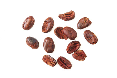 Dried cocoa beans isolated on a white background, top viewの写真素材