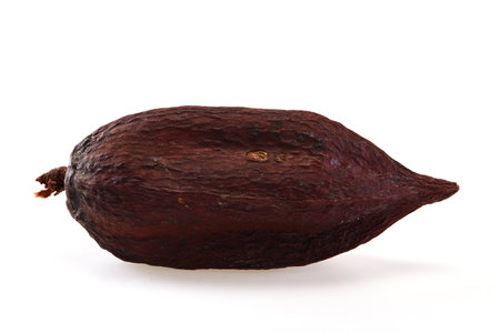 Cocoa pod isolated on white backgroundの写真素材