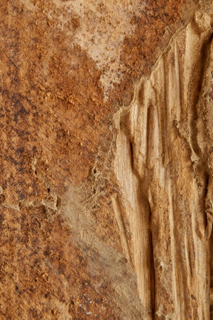 wooden texture background. Top view of vintage wooden tableの写真素材