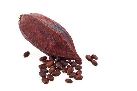 Cocoa beans with cocoa pod isolated on white backgroundの写真素材