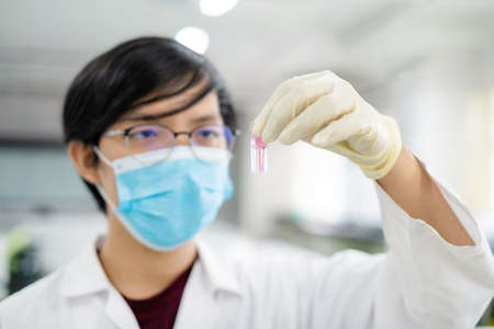 Young Asia chemical science holding Quartz cuvette contains a pink solution sample. He is looking...