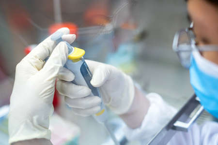 Asia scientist wears a glove and mask used a micropipette and adjust volume before transfer sample into an eppendorf in the biosafety hood. People in the laboratory study on anti corona drugs.の写真素材