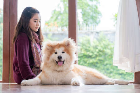 The woman sitting with her lovely brown Akita dog in the living room beside the windows. Outside the window is the garden. Looking at her dog. Relaxation and winter holidays concept. Focus on dog.の写真素材