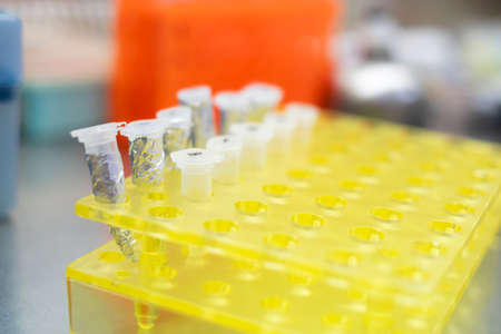 Close up macro of sample in an Eppendorf in biosafety pharmaceutical hood with blurred background....