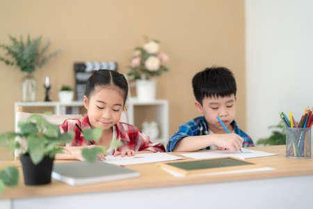 Cute girl and boy sitting in the classroom and doing homework together. Drawing and painting picture on the paper. Portrait of school kid. Learning, education and kindergarten concept. Back to schoolの写真素材