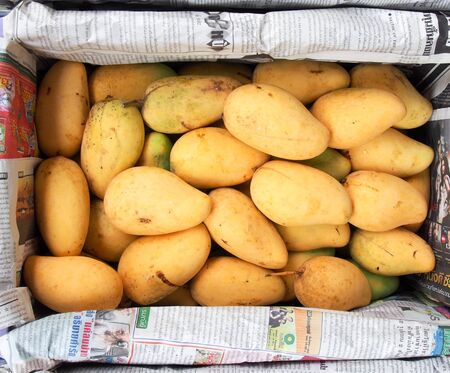 Mangoes in a basketの写真素材