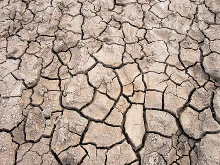 Cracked ground from drought