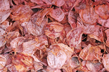 dried squidの写真素材