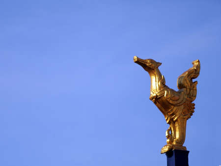 golden swan with blueskyの写真素材