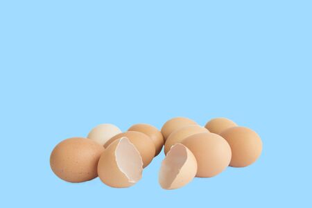 eggs isolated on blue background