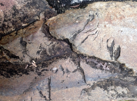 stone textureの素材