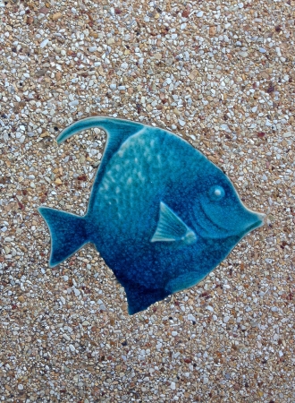 fish texture on the floorの素材