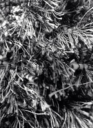 closeup carpet textureの素材