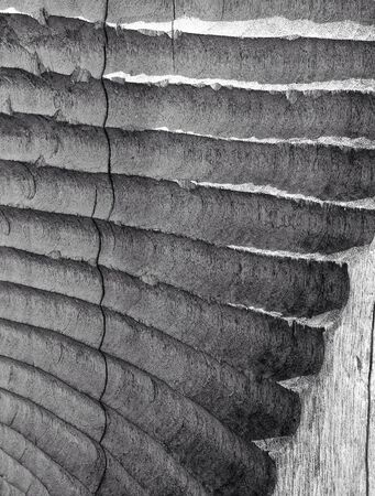 wood textureの素材