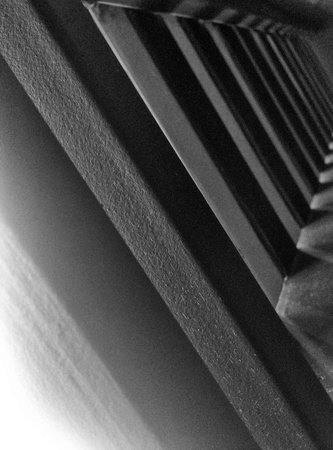 wood texture 