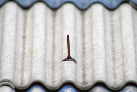 background of old roofの写真素材
