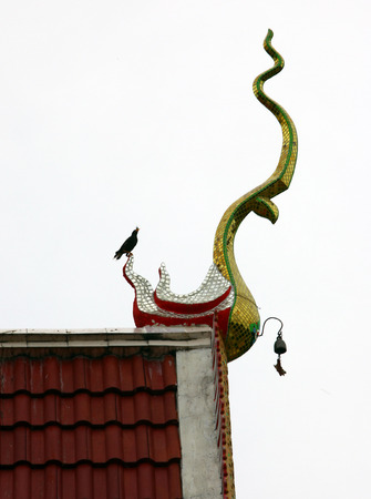 Thai Temple roof with birdの写真素材