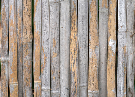 Background pattern of a bamboo pipes palisadeの写真素材