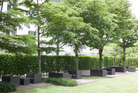 Garden table and chairs under the treeの写真素材