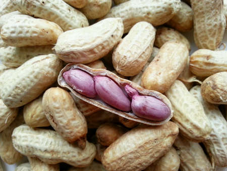 Peanutsの素材