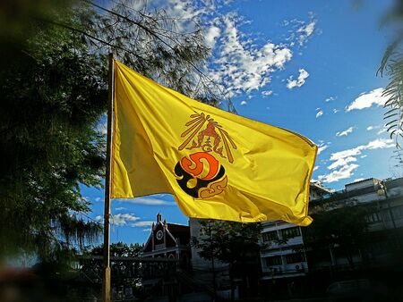 Flag celebrate the king of Thailandの素材