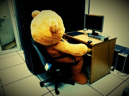 Big bear doll is computer admin の素材