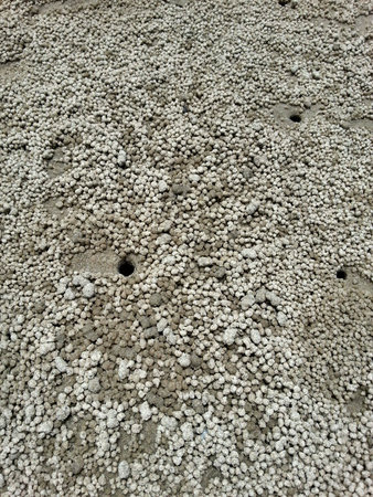 Beach Textureの素材