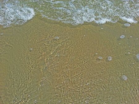Beach Textureの素材
