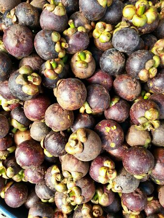 Fruit Mangosteen Textureの素材