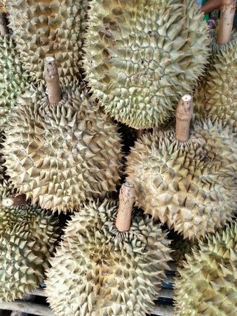 Fruit Durian Textureの素材