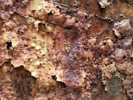 Rust Textureの素材