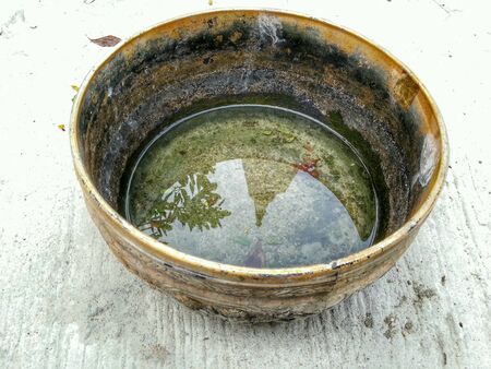 Temple in Bowl Reflectionsの素材