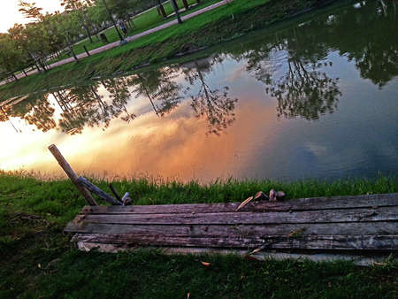 Parkの写真素材