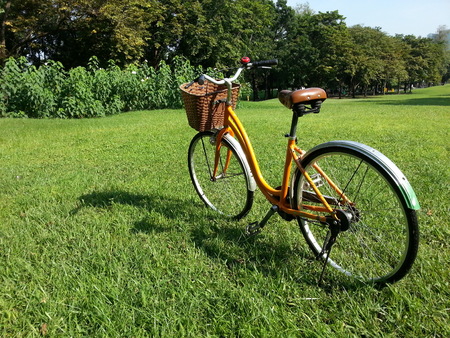 Bicycle in parkの写真素材
