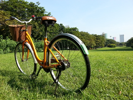 Bicycle in parkの写真素材