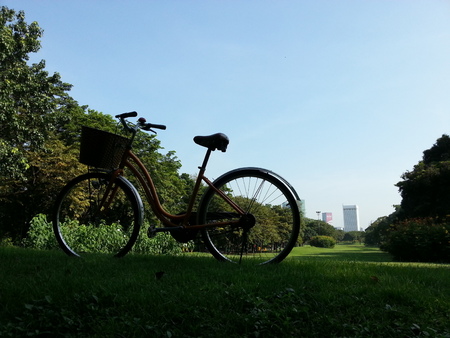 Bicycle in parkの写真素材