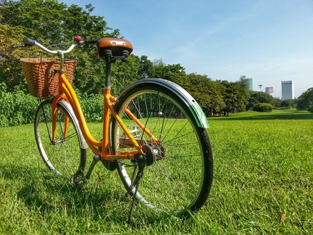 Bicycle in parkの写真素材