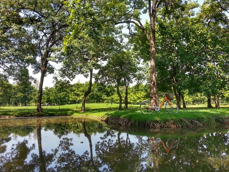 Bicycle in park HDR version. Photo at Bangkok Thailand.の写真素材
