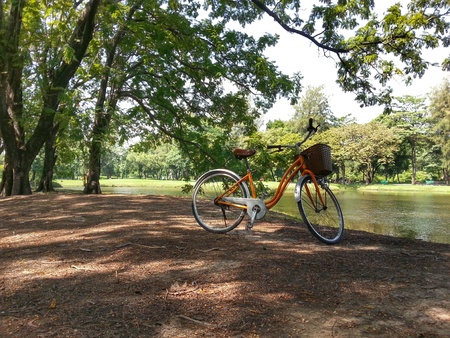 Bicycle in park HDR version. Photo at Bangkok Thailand.のeditorial素材