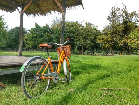 Bicycle in park H.D.R.の写真素材