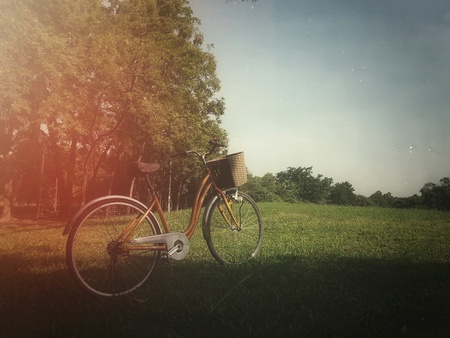 Bicycle in park plus effectsの写真素材