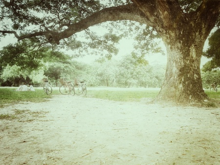 Bicycle in park plus effectsの写真素材