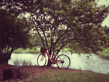 Bicycle in park plus effectsの写真素材