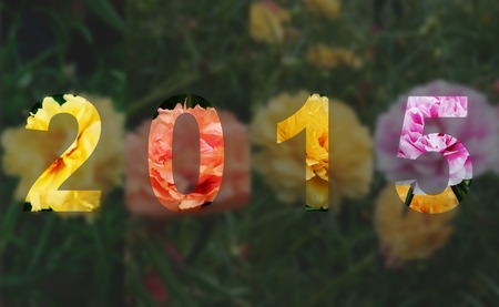 Happy New Year 2015 Beautiful Flower