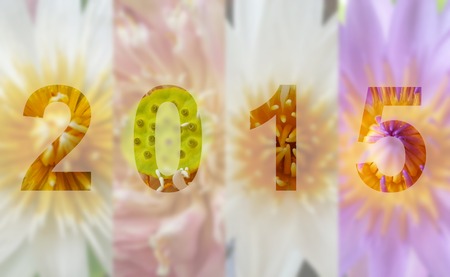 Happy New Year 2015 Lotus Flowerの写真素材