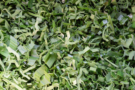 Pandanus leaf split texture backgroundの写真素材