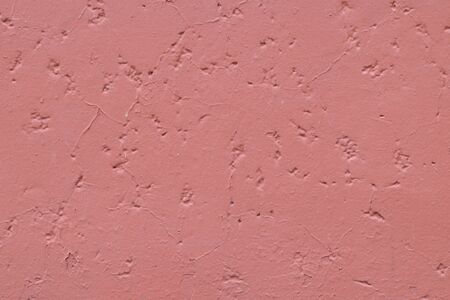Wall texture backgroundの写真素材