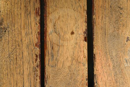 Wood texture backgroundの写真素材