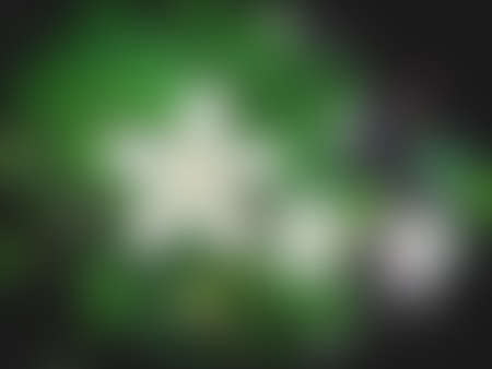 Blurred Naturally beautiful flowers in the gardenの写真素材