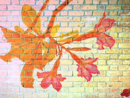 Desert Rose Flower on Red Brick wall texture backgroundの写真素材